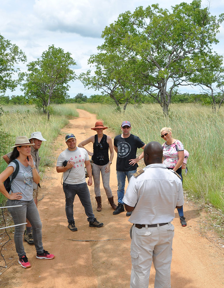 Guided Walking Safaris - Kruger Park